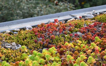 the cost of Thorpe Constantine green roof installation