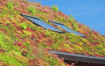 Thorpe Constantine living roof systems