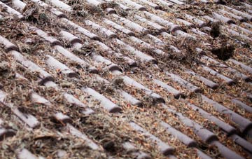 Thorpe Constantine roof cleaning companies