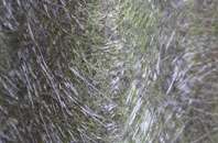 Thorpe Constantine fibreglass roof work